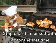 Image result for Animal Cooking Memes