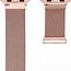 Image result for Apple Watch Mesh Band