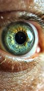 Image result for Macro Lens Mobile