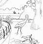 Image result for Zoo Drawing