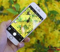 Image result for iPhone 6s Camera Pics