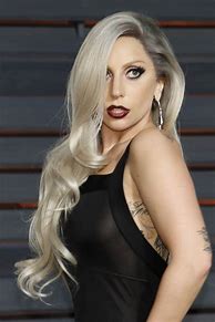 Image result for Lady Gaga Silver Hair