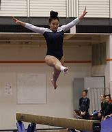 Image result for Gymnastics Meet