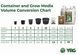 Image result for 5 Gallon TreeSize