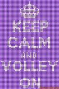 Image result for Fuse Bead Volleyball Pattern
