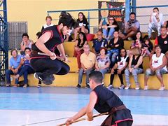 Image result for Kung Fu Fight