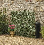 Image result for Real Touch Artificial Ivy