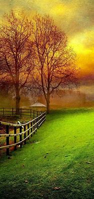 Image result for Android Wallpaper Nature