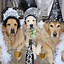 Image result for Dog New Year's Eve