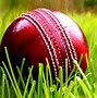 Image result for Bacground Image for Cricket Tiesheet