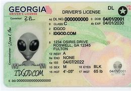 Image result for Georgia Real ID