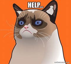 Image result for Help Cat Meme