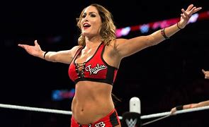 Image result for Nikki Bella Wrestling Photos