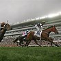 Image result for Noble Steed Hong Kong Horse