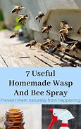 Image result for Homemade Wasp Killer Spray