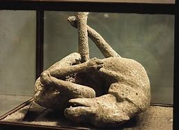 Image result for Pompeii Delta Dog