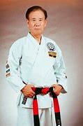 Image result for martial arts master