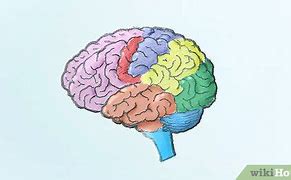 Image result for Use Your Brain Drawing