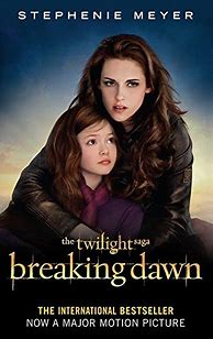 Image result for Twilight Saga Breaking Dawn Book