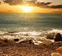 Image result for Shore Background