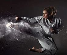 Image result for Striking Martial Arts Styles