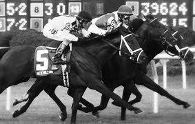 Image result for Free Horse Racing Betting