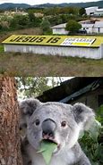 Image result for Koala Jesus Meme