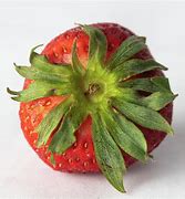 Image result for Strawberry Top