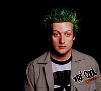 Image result for tre cool