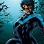 Image result for Nightwing Aesthetic