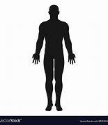 Image result for Human Body Graphic