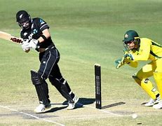 Image result for The Game of Cricket