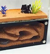 Image result for Ant House