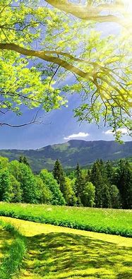 Image result for Beautiful Pictures for Wallpaper Mobile