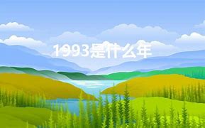 Image result for 2004两