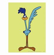 Image result for Classic Road Runner Cartoon