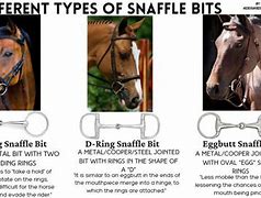 Image result for snaffle bits type