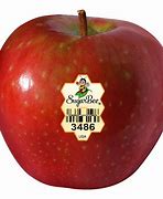 Image result for Washington State Apple Varieties