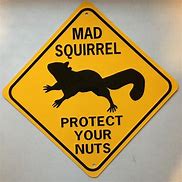 Image result for Protect Your Nuts SVG