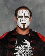 Image result for Stinger WWE