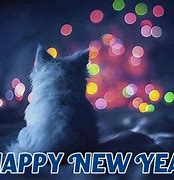 Image result for New Year Cat Meme