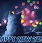Image result for New Year's Cat Meme