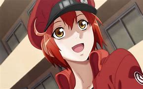 Image result for Cells at Work Seasons