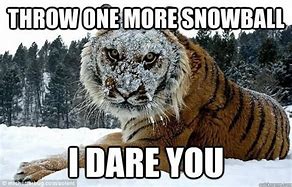 Image result for Easy Tiger Meme