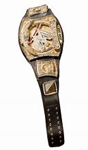Image result for WWE Spinner Belt for Shoulder