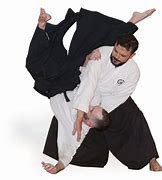 Image result for Aikido Martial Arts