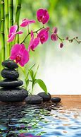 Image result for Spa Wallpaper iPhone
