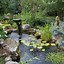 Image result for Back Yard Streams and Waterfalls