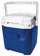 Image result for igloo coolers 10 qt