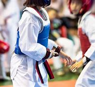 Image result for Taekwondo Fighting Stance